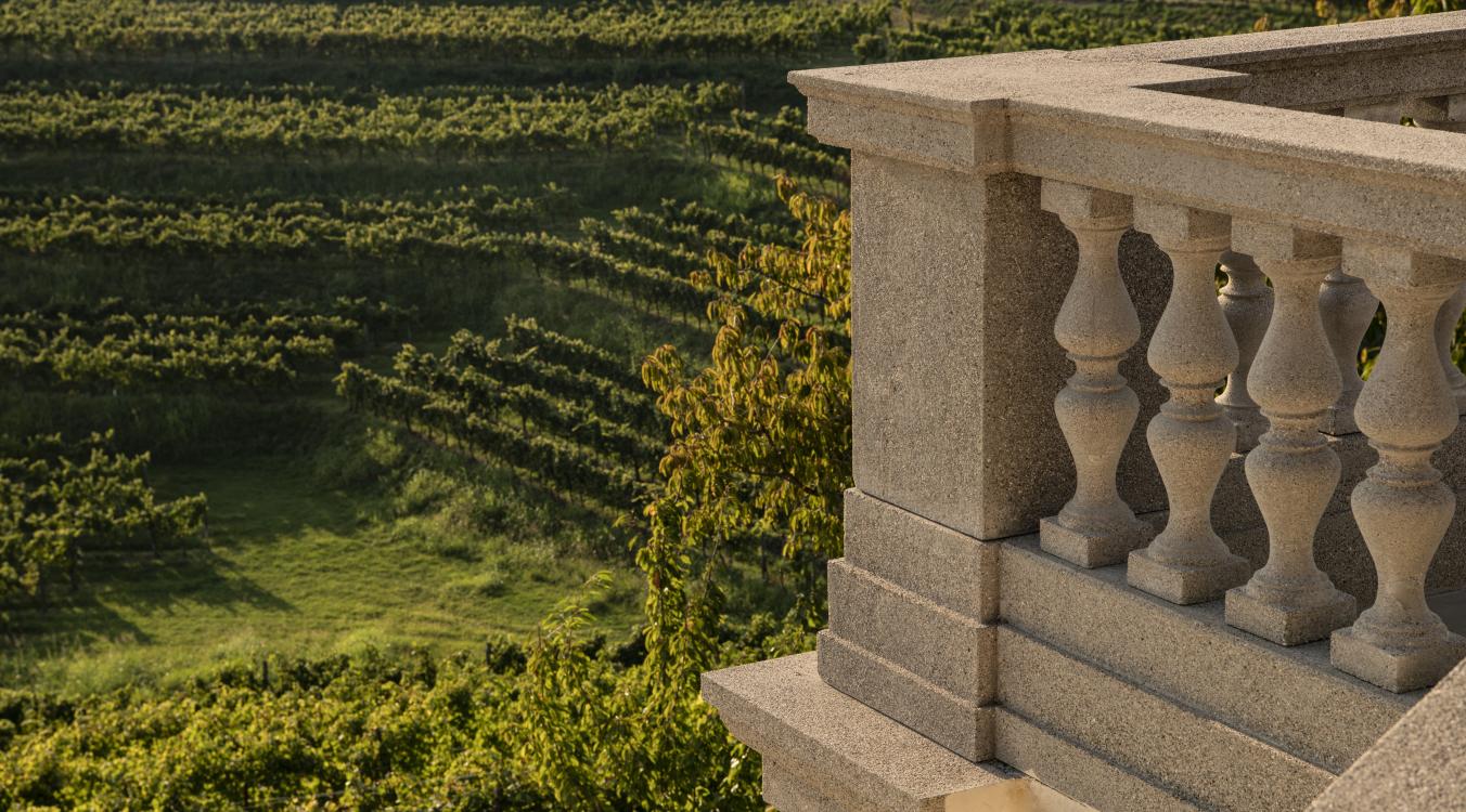 Colli del Friuli