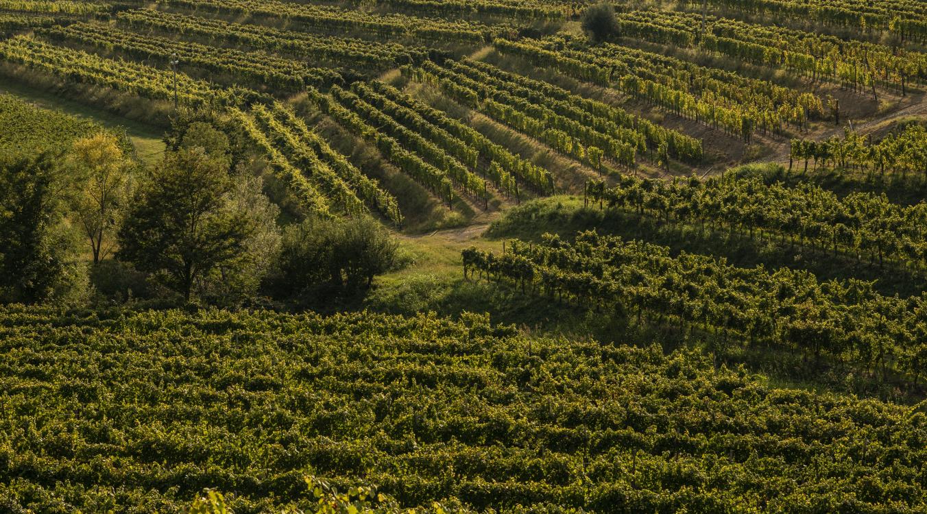 Designed for Agricolture